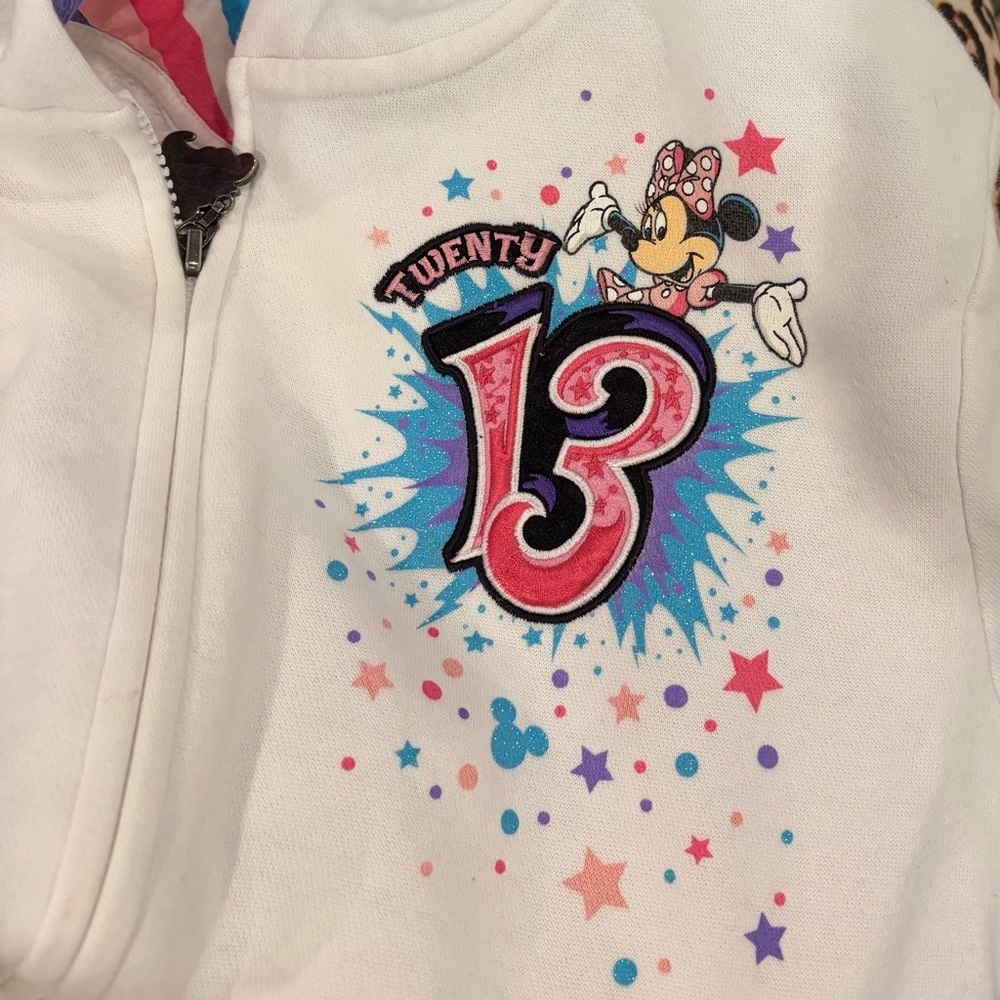 Disney Parks Youth Large 2013 Disneyland Resort Anniversary Zip Hoodie - Picture 4 of 14